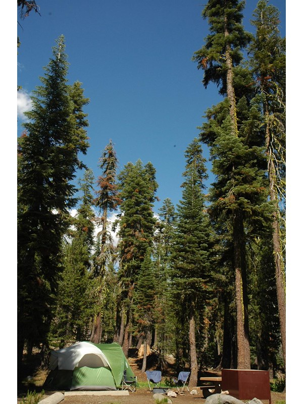 A green tent, two blue chairs, and a brown bear box