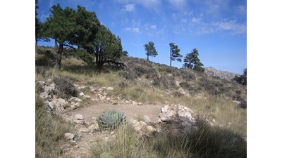 A hardened surface for tent camping is outlined by rocks