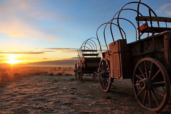 Replica emigrant wagons rest unhitched at sunrise