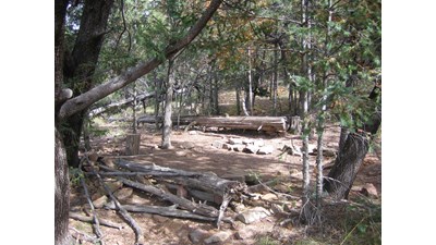 A hardened surface for tents is located in dense cover