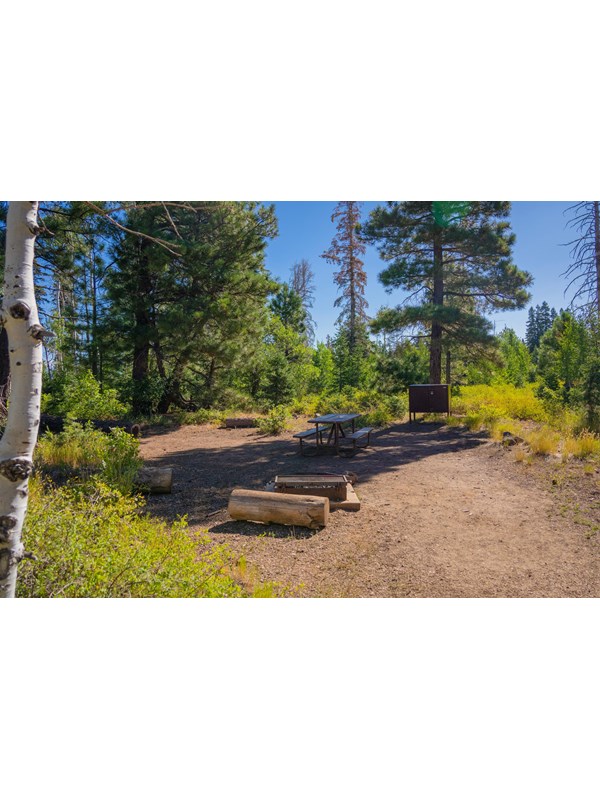 A primitive campsite with a fire ring, picnic table, and bear box.