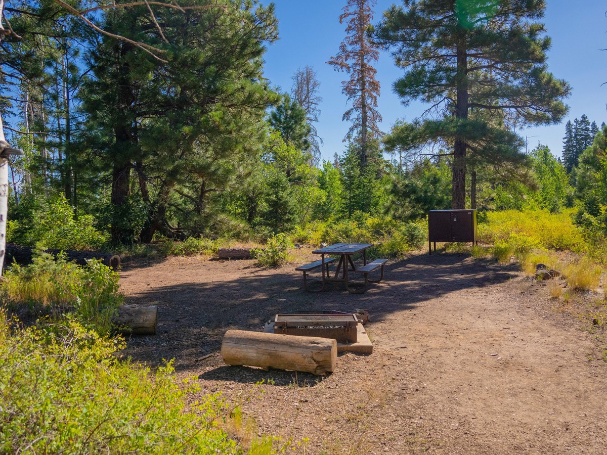 Lava Point Campground photo 3
