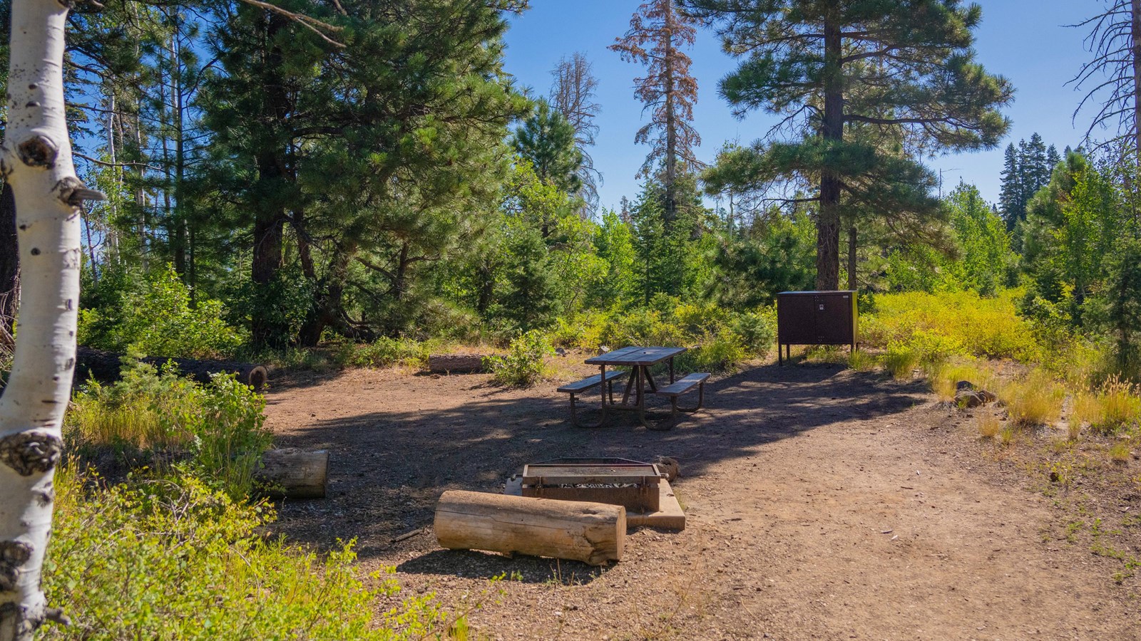 Lava Point Campground photo 4