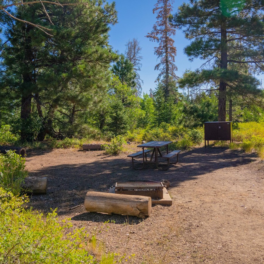 Lava Point Campground photo 2