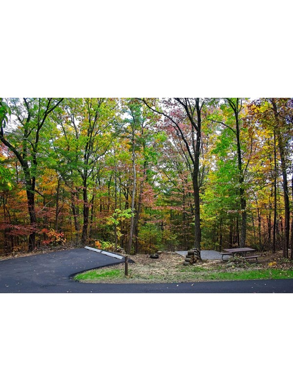 A campsite in early fall surrounded by green, yellow, red, and orange trees.