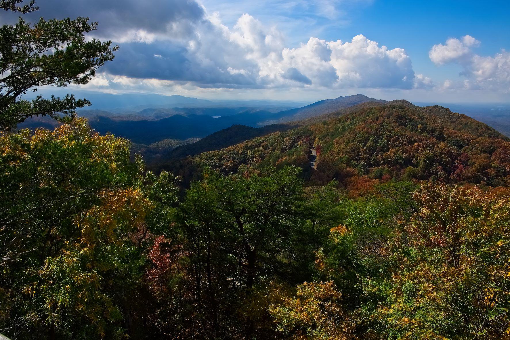 A short trail brings visitors to the top of the Look Rock Observation Tower.