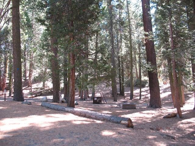 A large campsite surrounded by trees