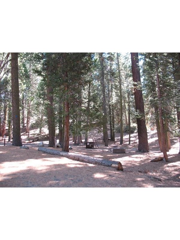 A large campsite surrounded by trees