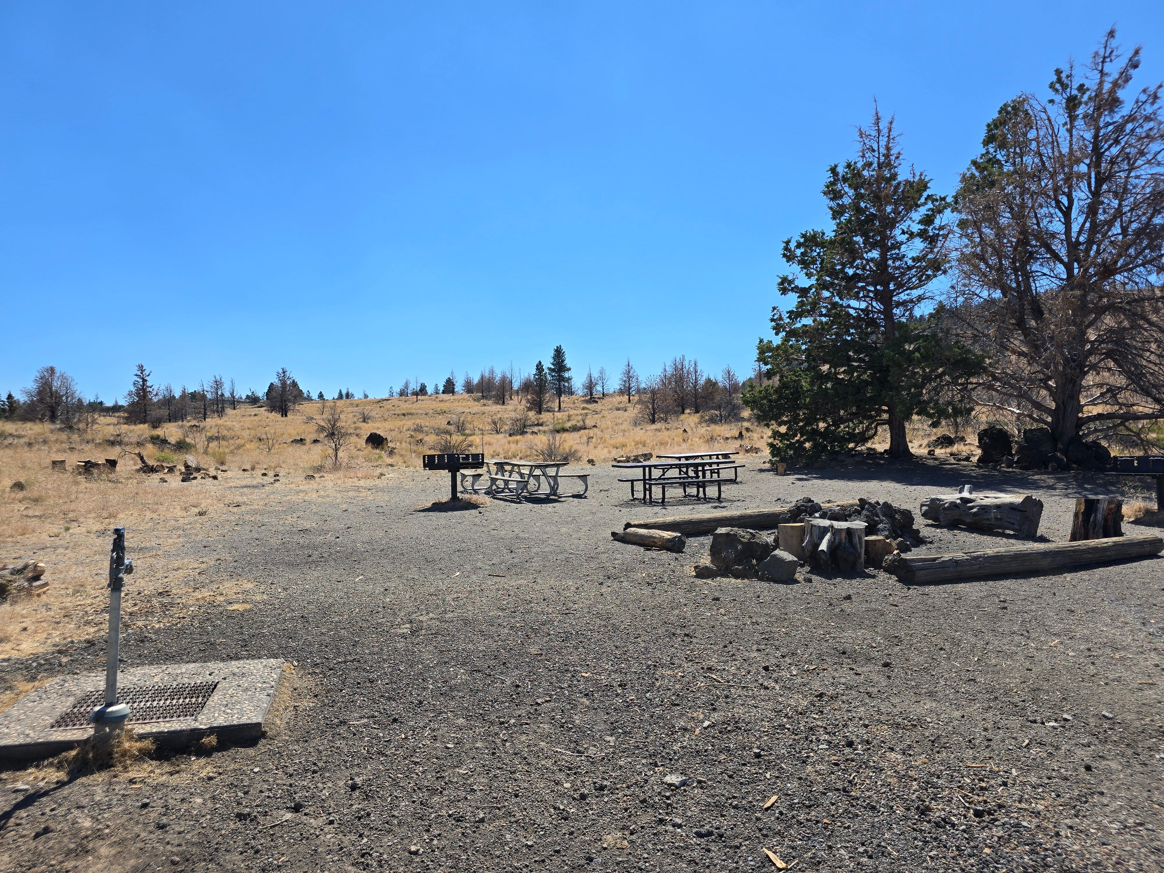 Group Site Fire Pit and Picnic Area