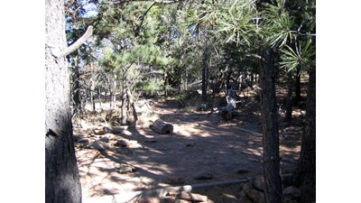 A hardened surface for a tent in a forested setting