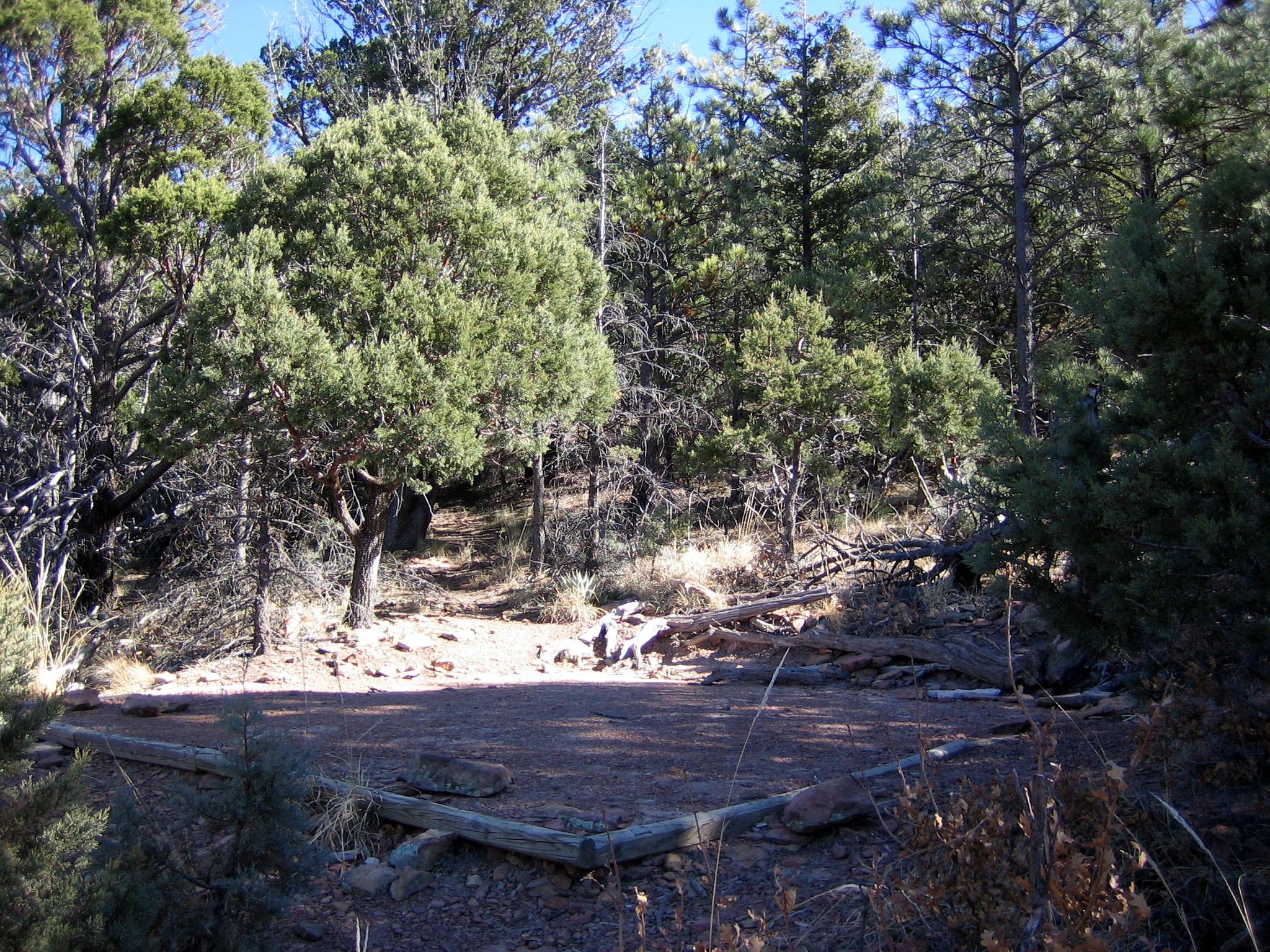 McKittrick Ridge Wilderness Campground - Guadalupe Mountains National Park  (U.S. National Park Service)