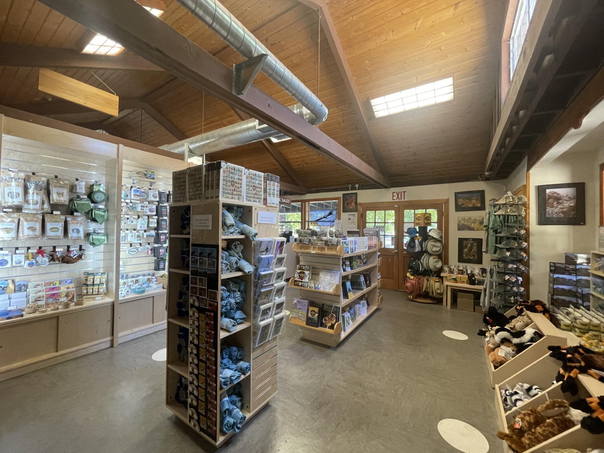 Inside a park store with a wide range of items such as pins, coins, magnets, books, and games
