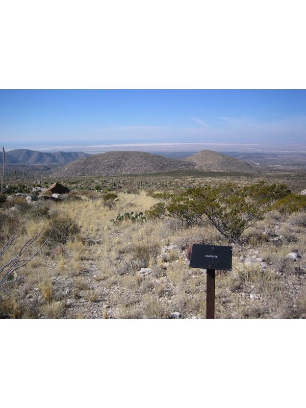 A metal sign marking the camping area rises above the desert landscape.