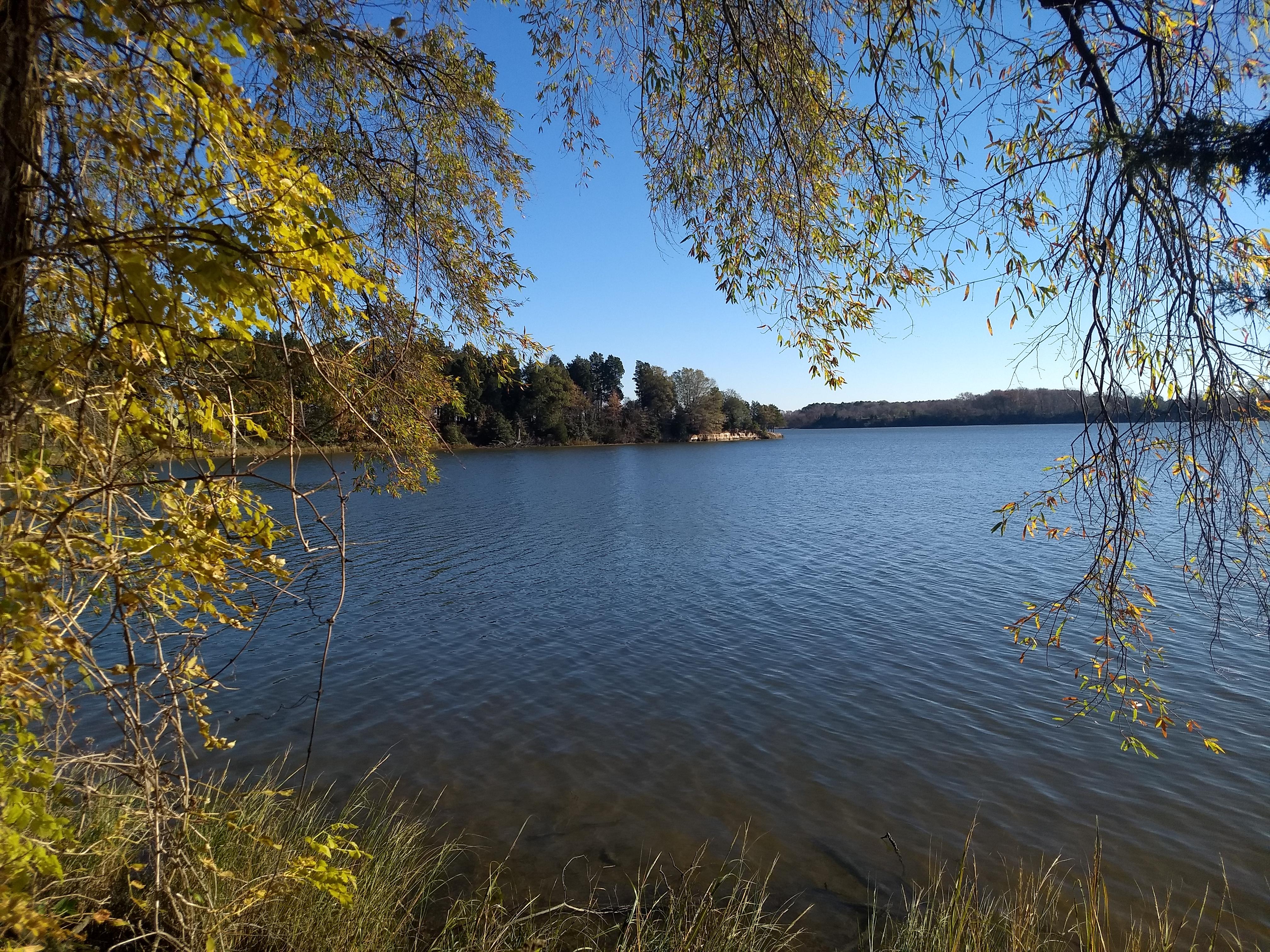 View of Popes Creek