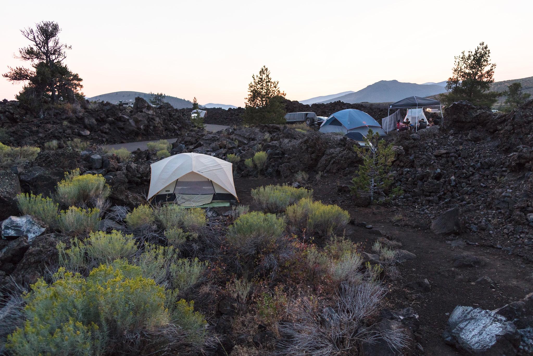 A tent is nestled among black volcanic rock and shrubby plants.