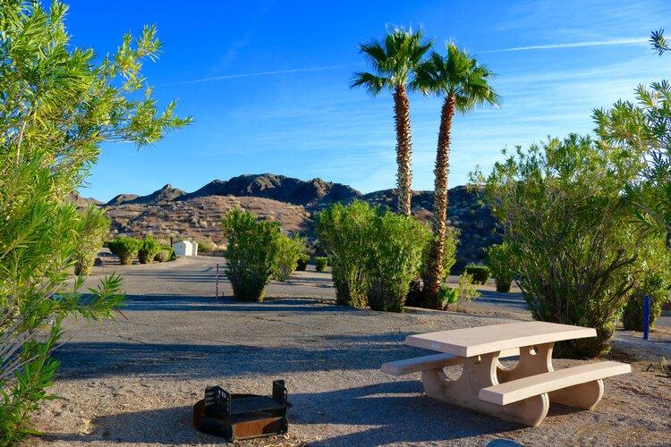 A campsite with a table and palm trees