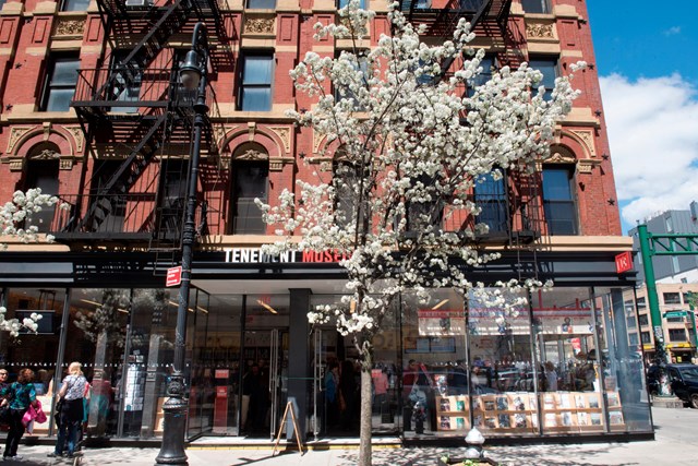 A flowering white tree in front of the entrance to the visitor center
