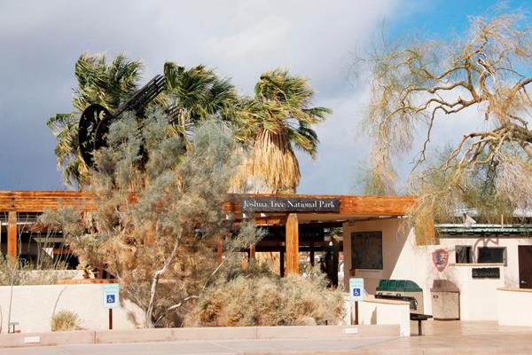 A large sign that says, "Joshua Tree National Park", surrounded by vegetation and buildings.