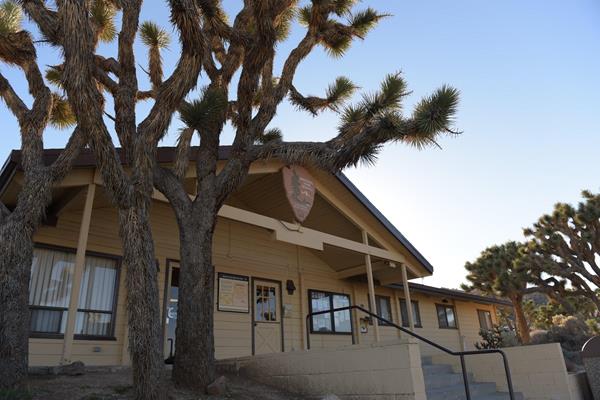 The front of a building with a large arrowhead sign. A large Joshua tree grows in front.