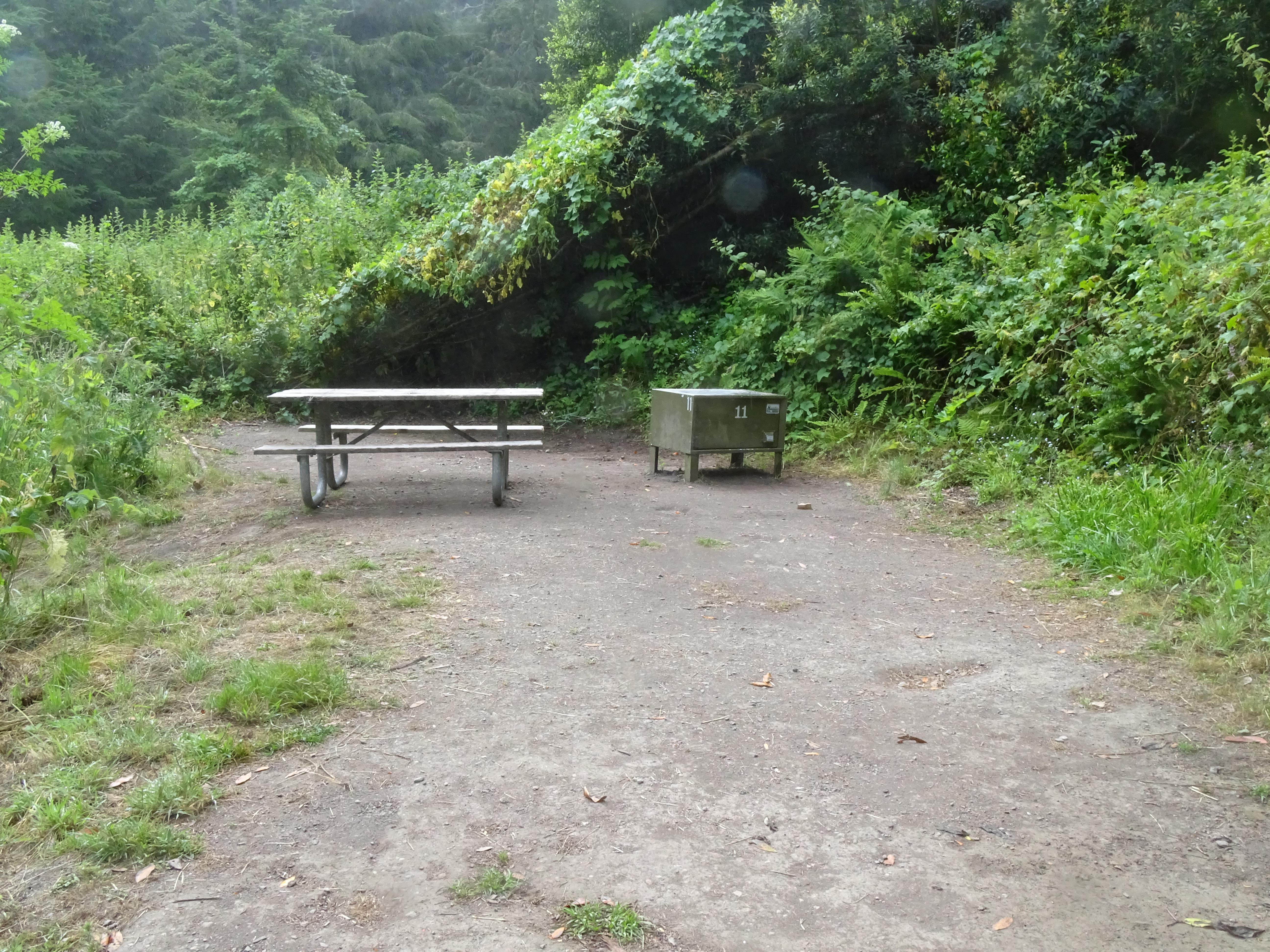 A campsite in the woods containing a picnic table and a food storage locker.