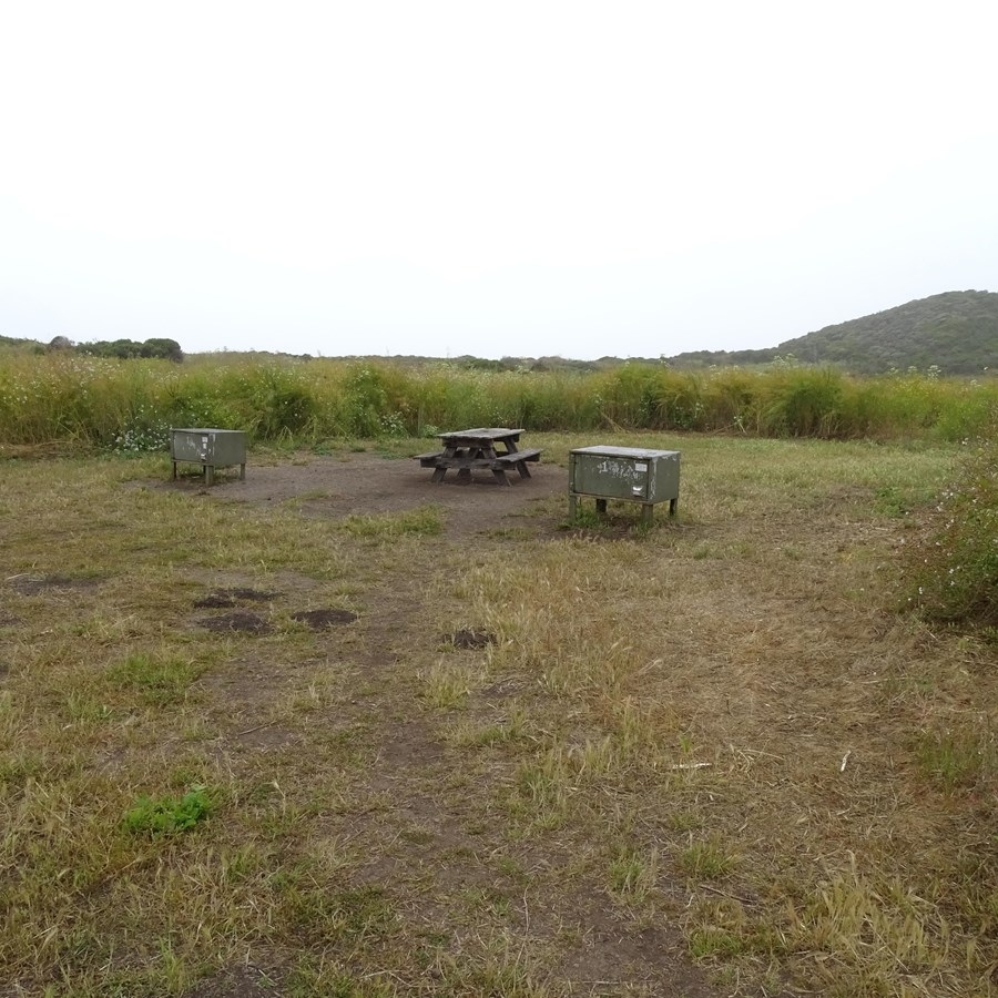 Wildcat Campground Point Reyes National Seashore