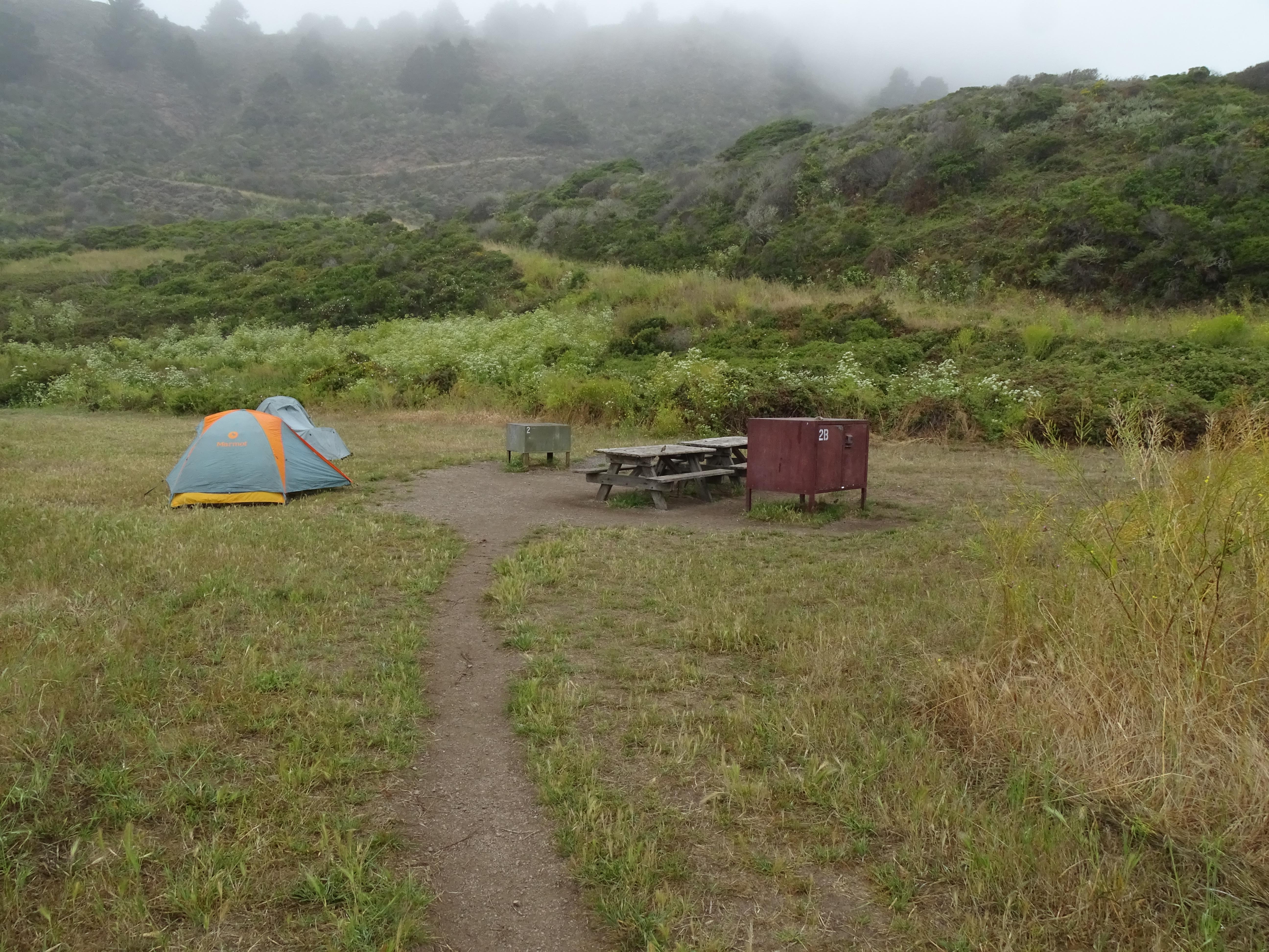 are dogs allowed at glen hills campground