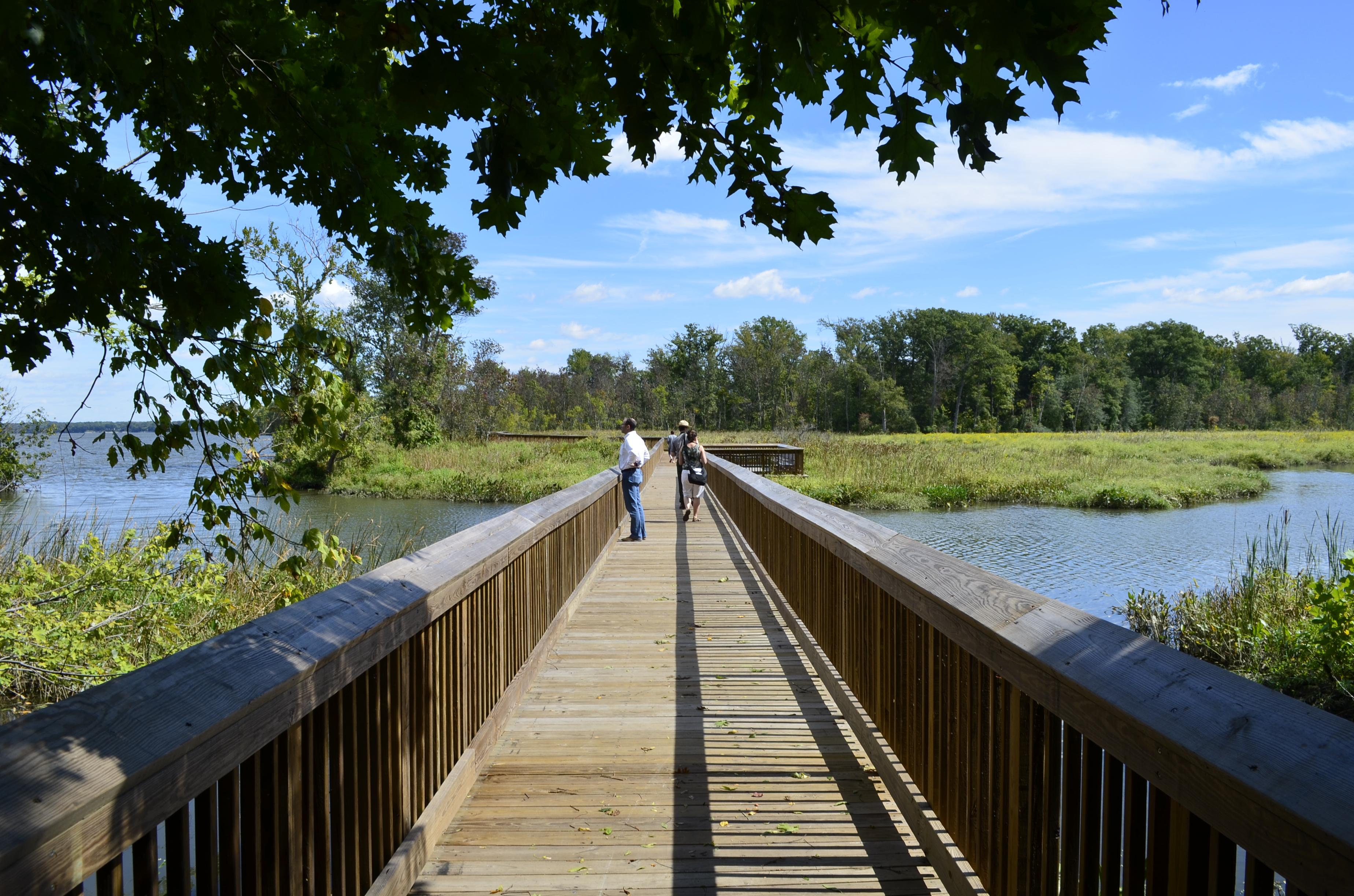 a wooden boardwalk to a green marsh