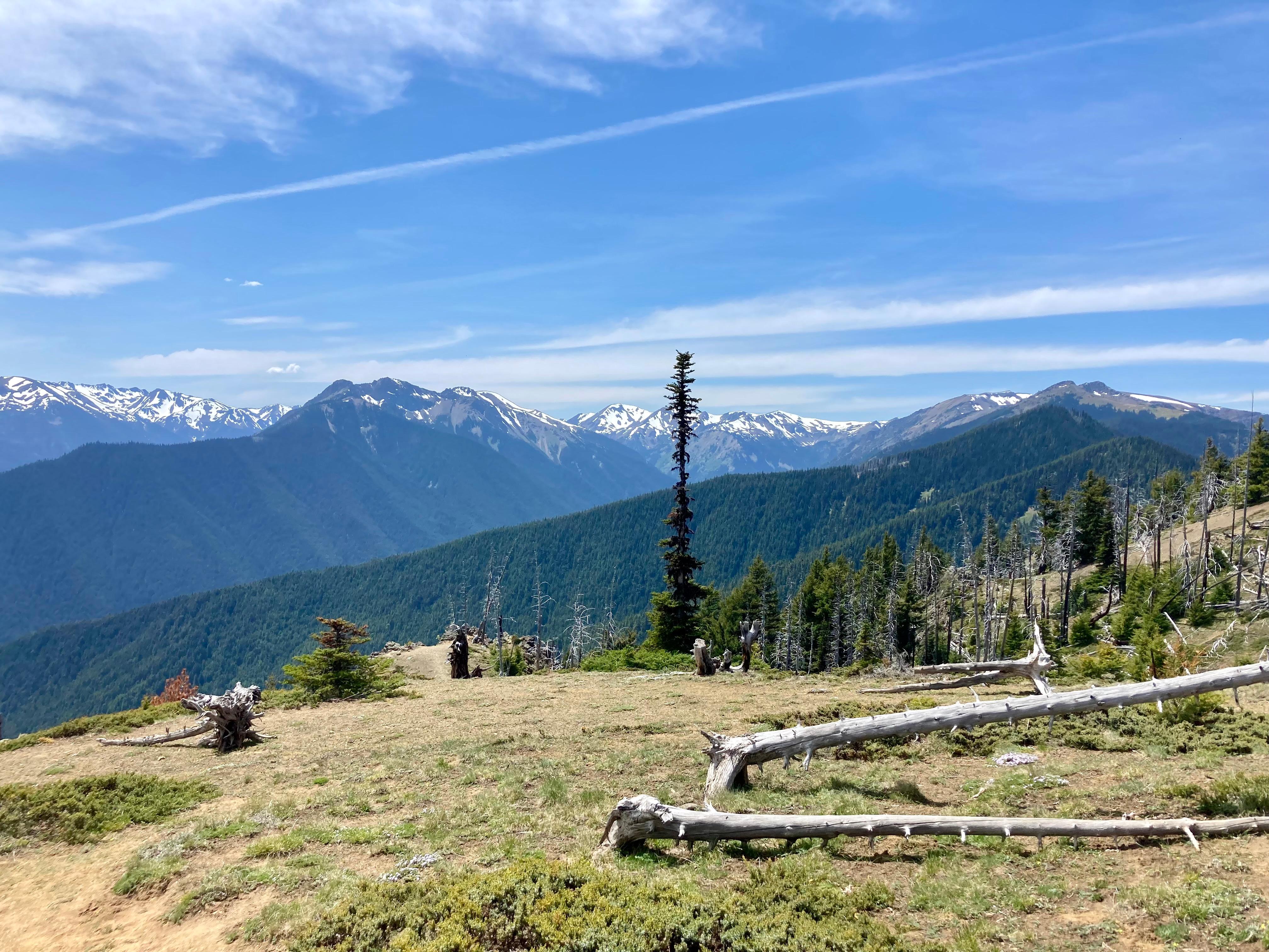 A view from the top of a mountain with trees and mountains in the background.