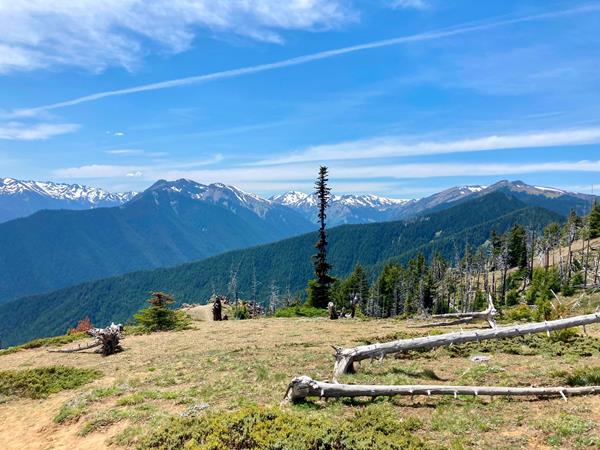 A view from the top of a mountain with trees and mountains in the background.
