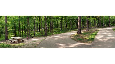 A campsite for RVs, showing paved turn-in, picnic table, and fire ring.