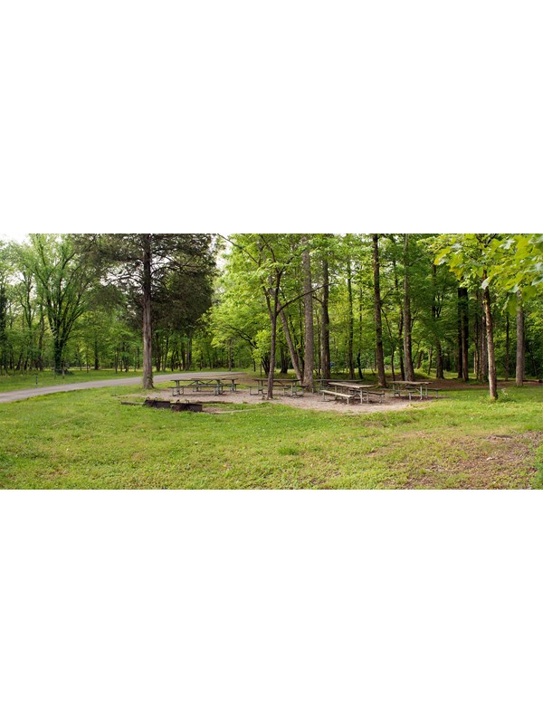 A typical Maple Springs campsite with picnic tables, fire rings, water pump and tie-off for horses.