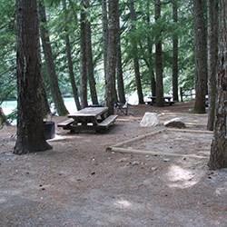 An empty campsite in the forest.