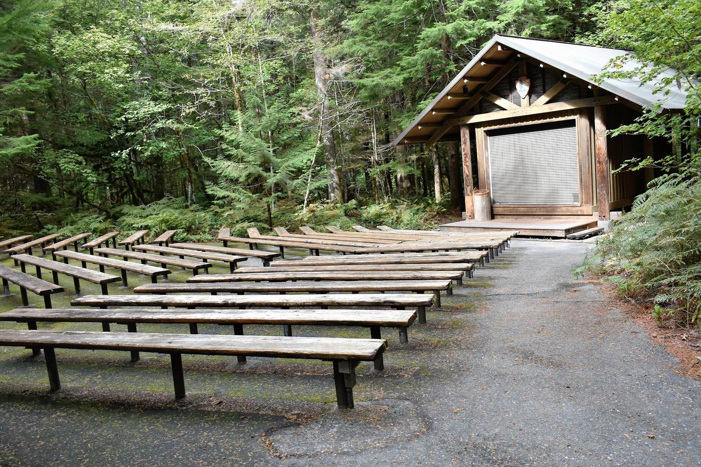 Benches in a forested amphitheater