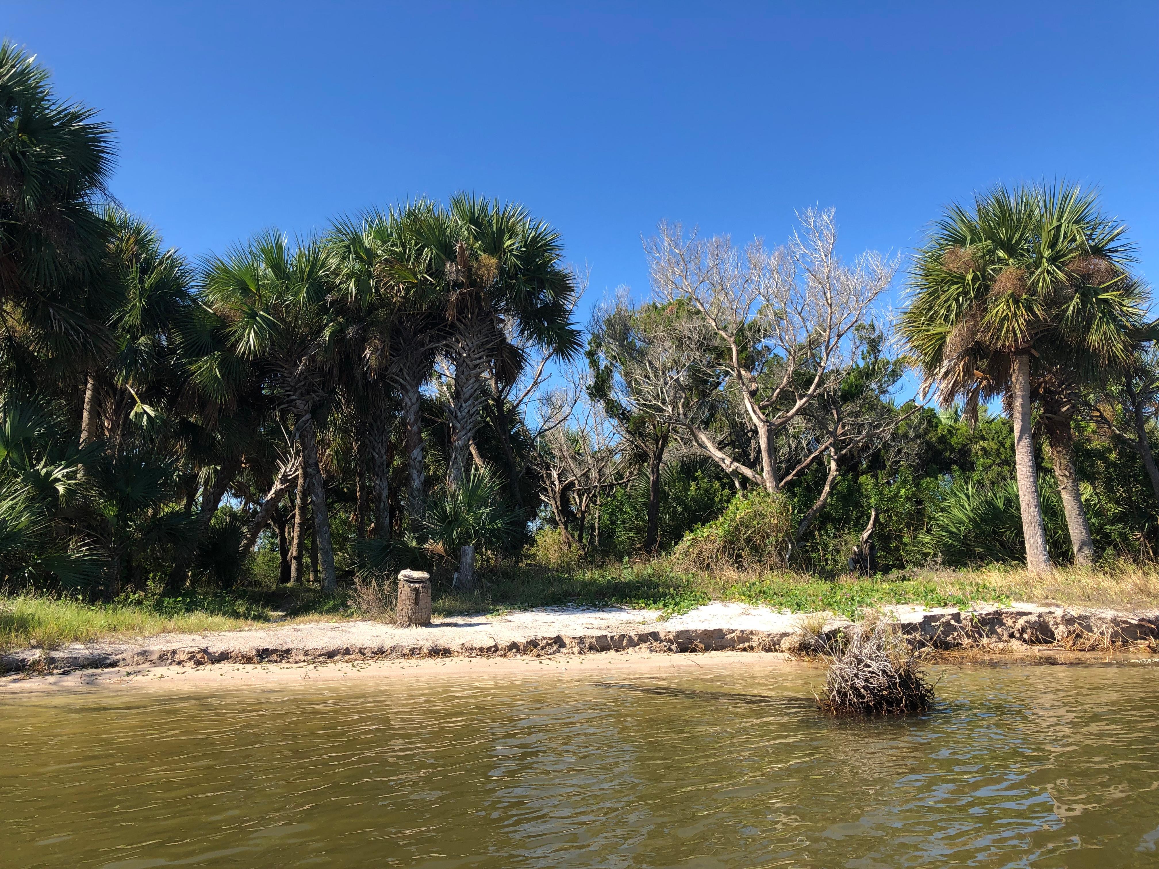 Camping Canaveral National Seashore U S National Park Service
