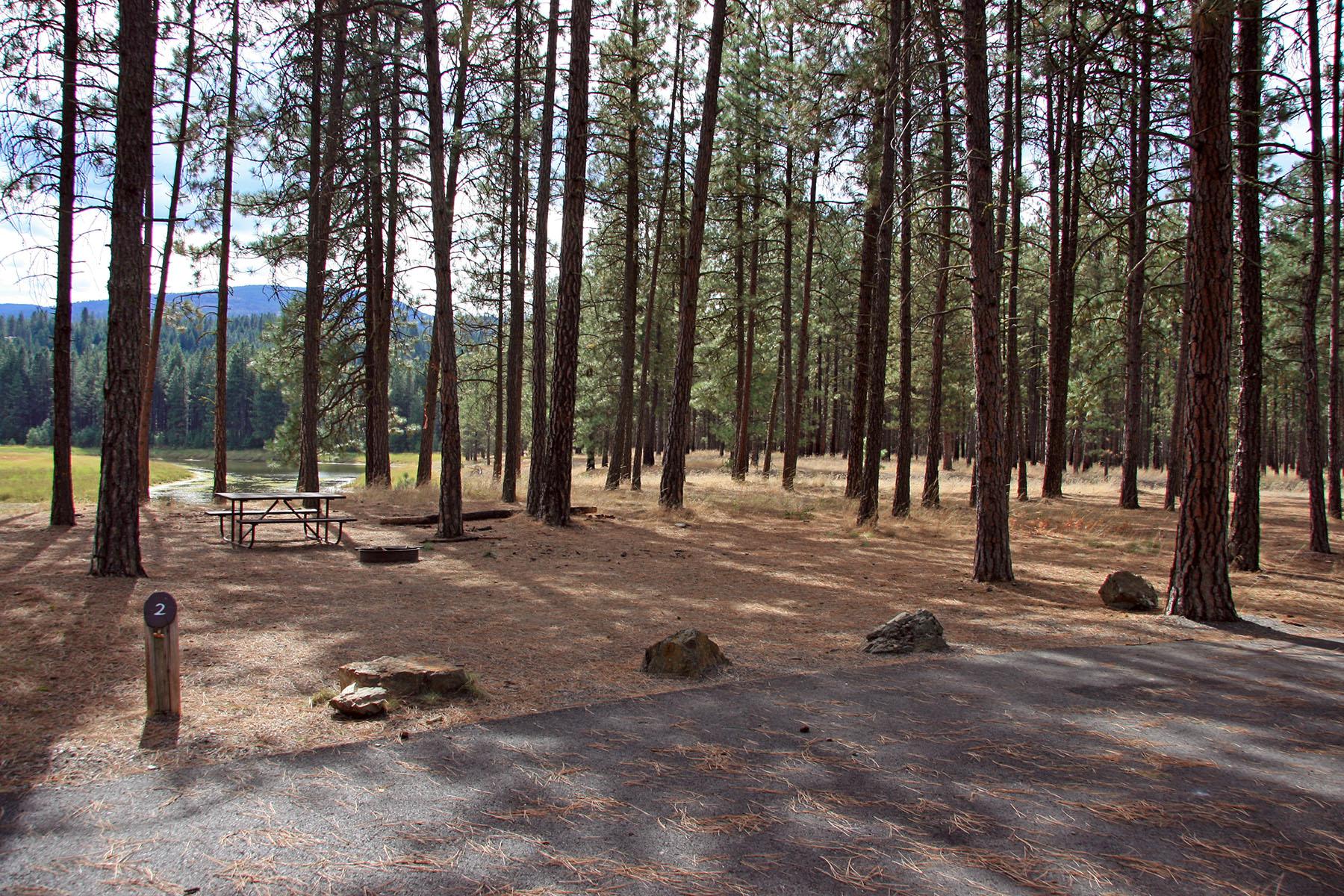 shaded campsite with paved parking space