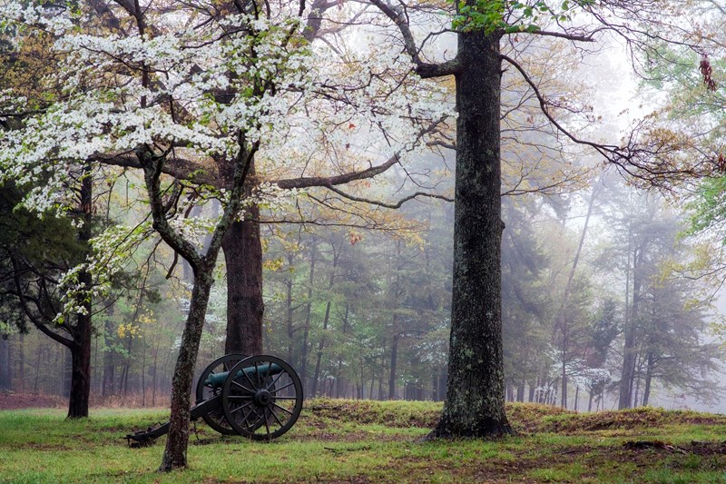 Saunders Field in Spring A cannon in a misty clearing surrounded by sparse trees.