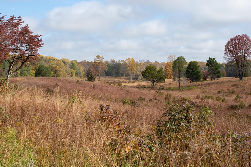 Bloody Angle in the Fall A bowl-shaped field surrounded by autumn trees.