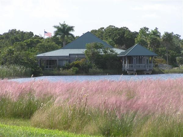 Pink grasses in bloom beside a lake and the Ernest Coe Visitor Center