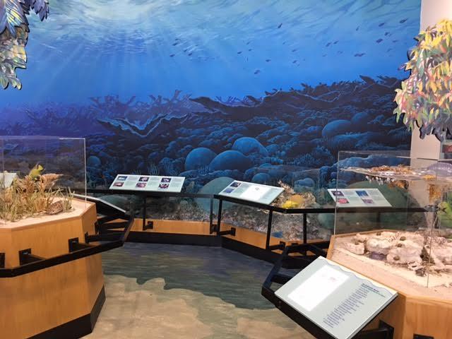 Displays depicting the ecosystems of Biscayne National Park.