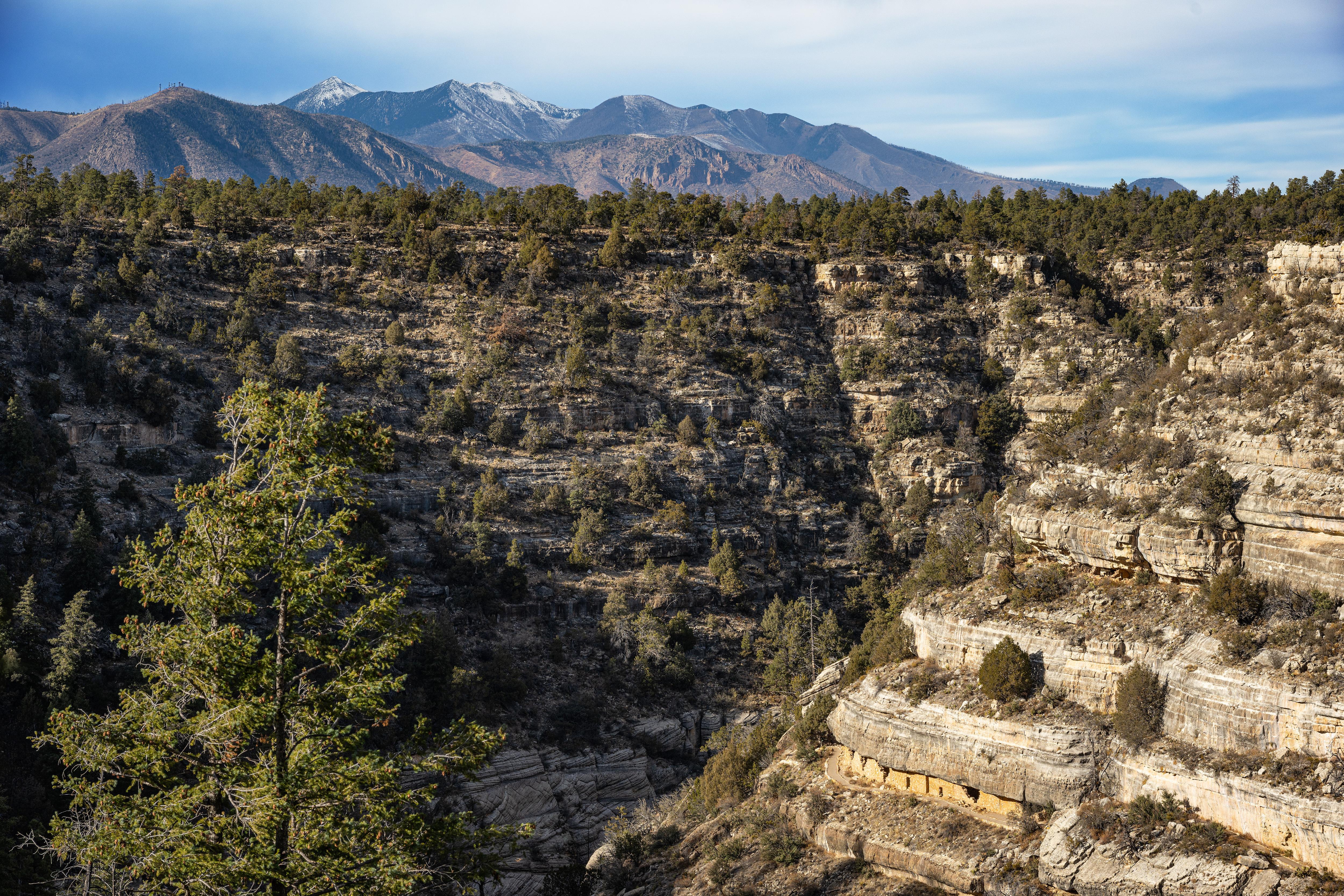 Walnut Canyon's cliff dwellings are illuminated by the afternoon sun.