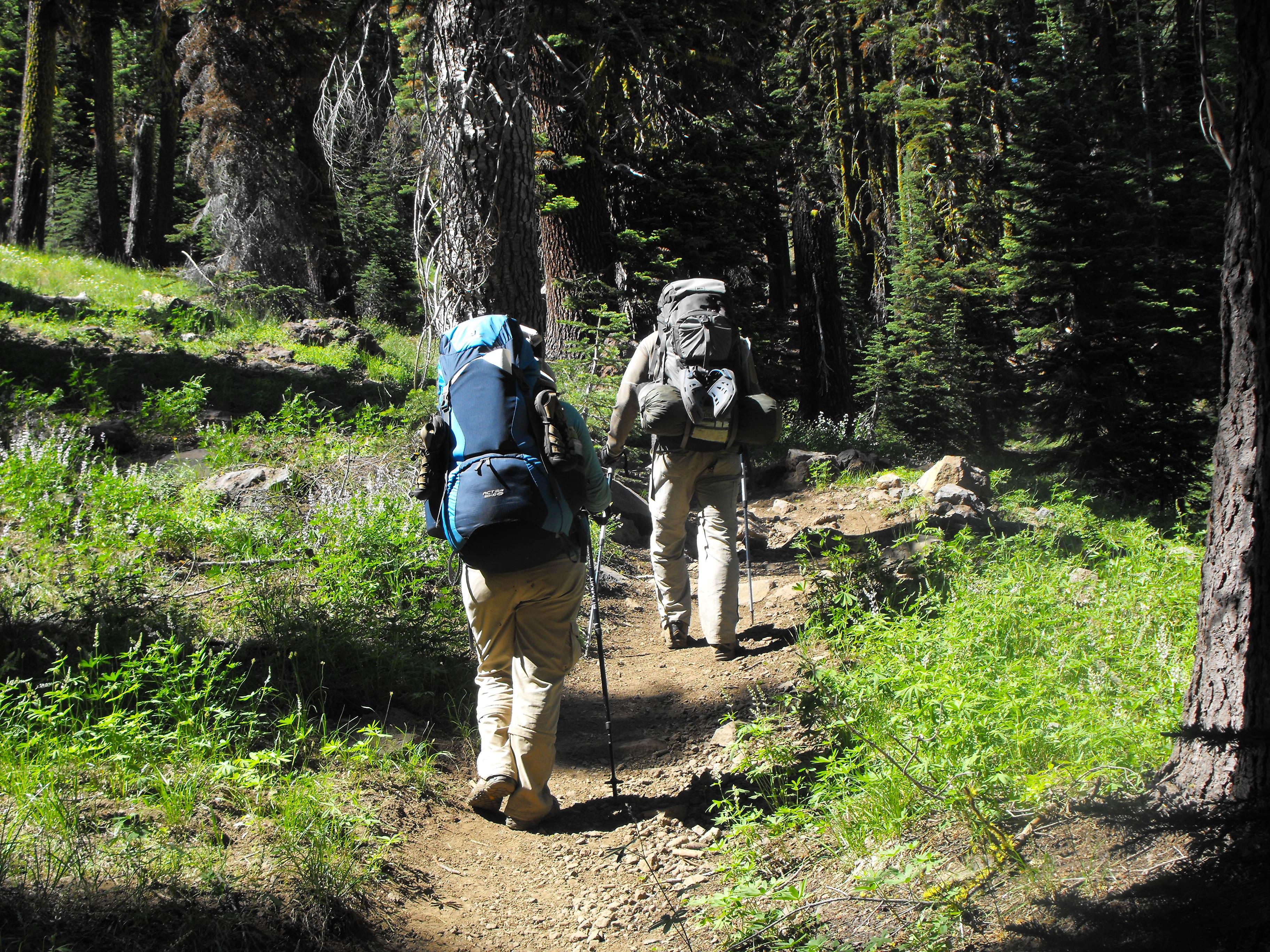 Two backpackers walking away from camera on a trail through the forest