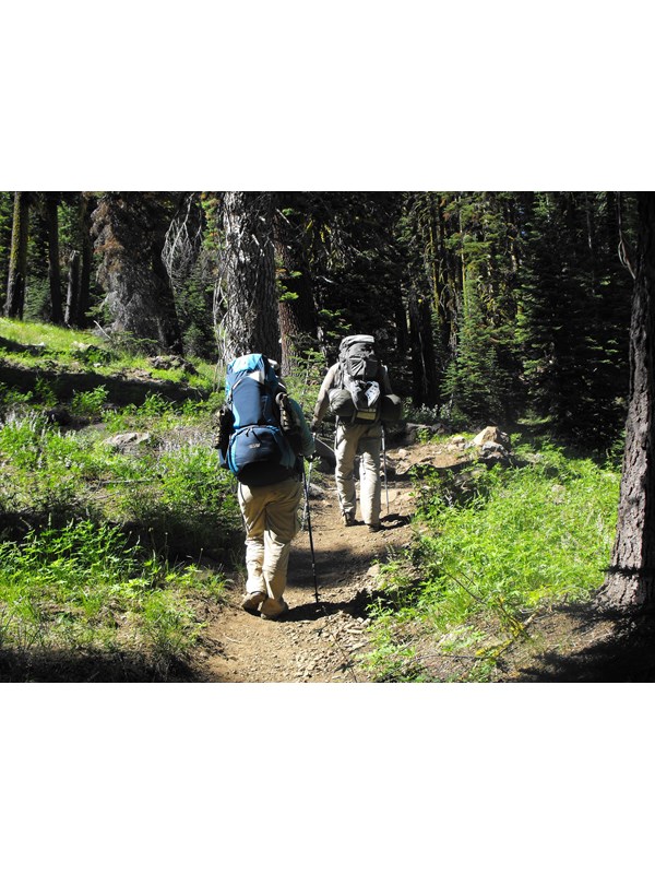 Two backpackers walking away from camera on a trail through the forest