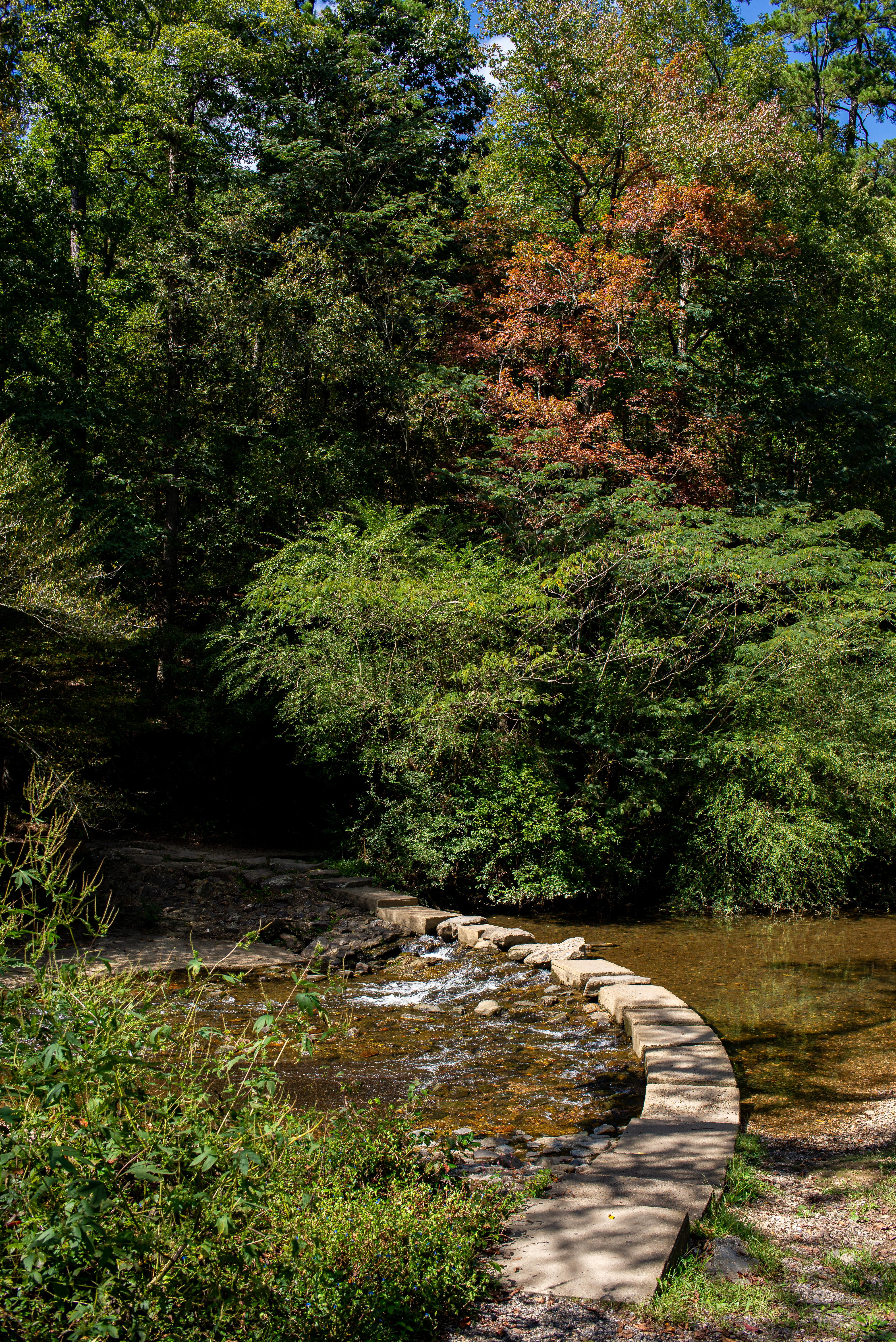 A stone walkway bridging the gab across a creek