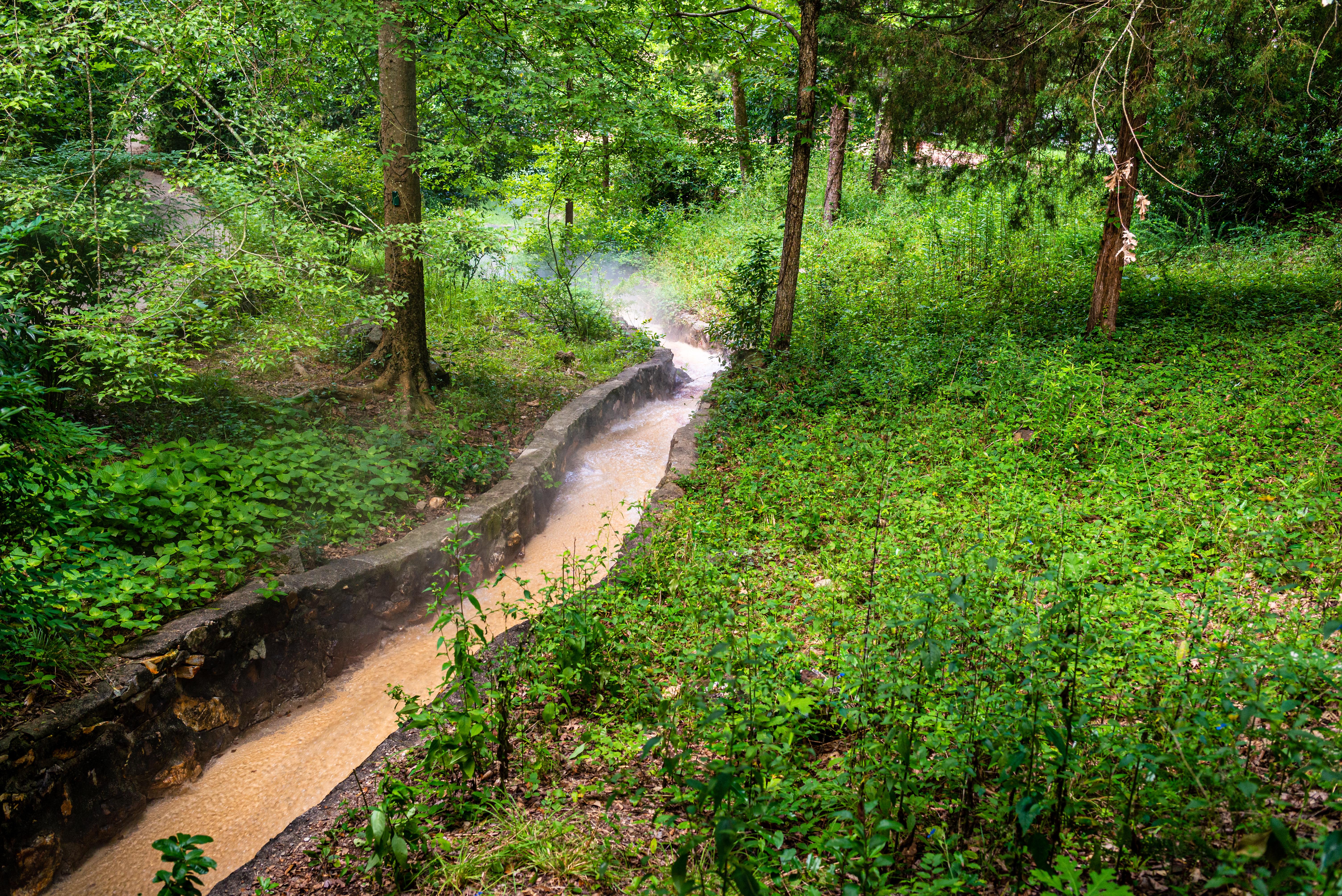 A stone tough in a green forest with water flowing down