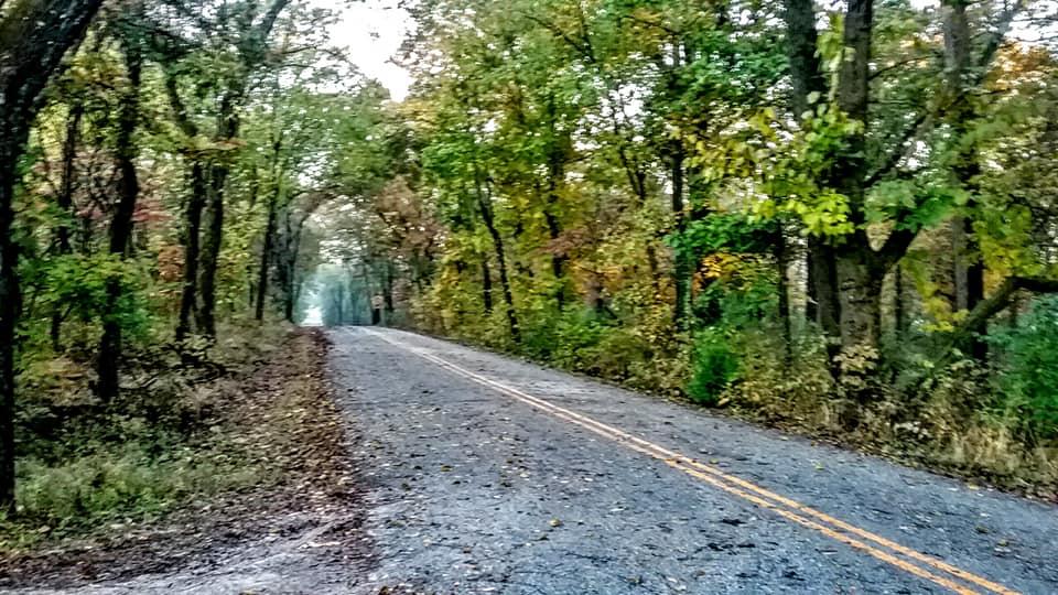 Photo of road with trees on both sides of road. Trees have Fall Foliage