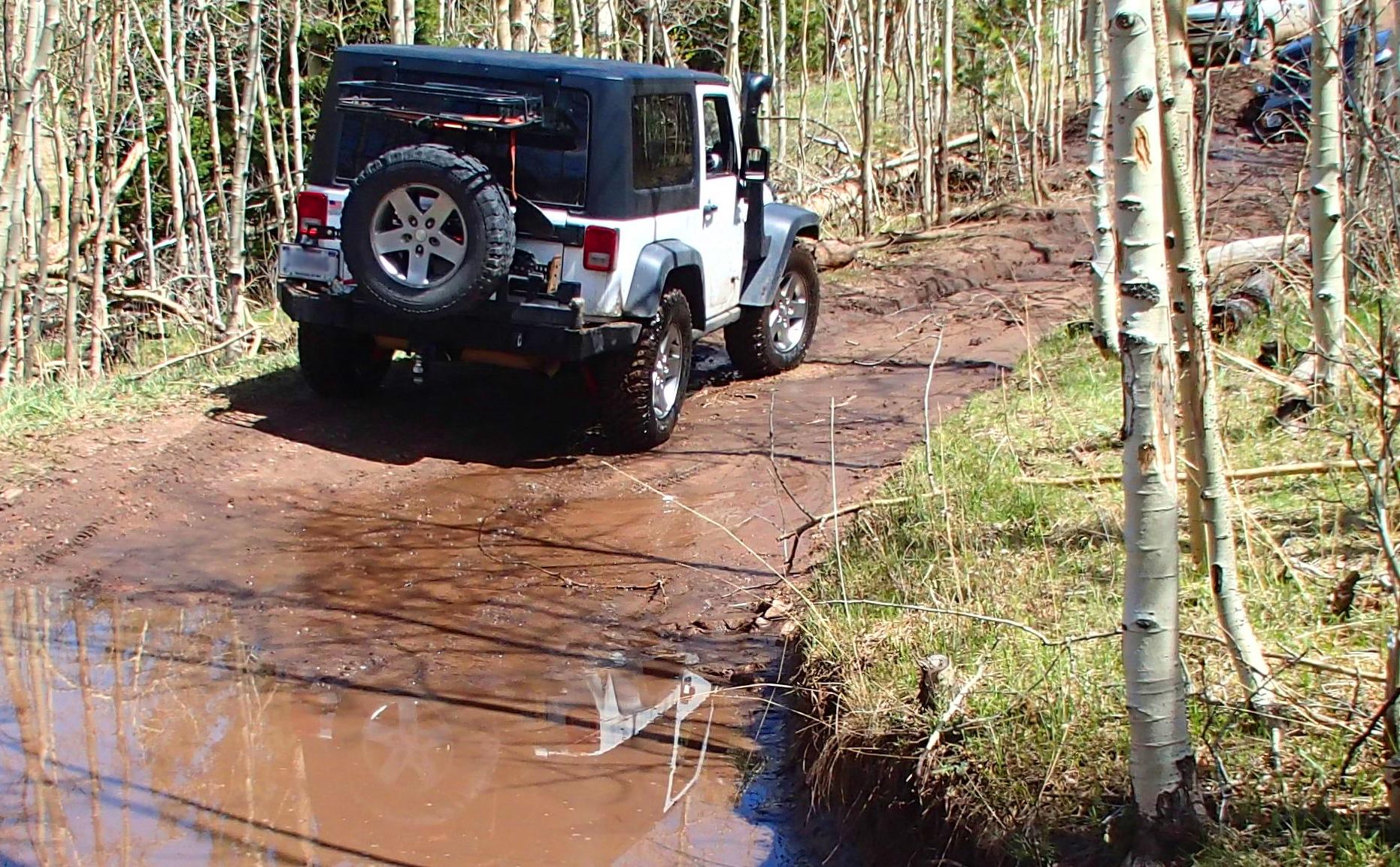 Jeep driving through a creek crossing and aspen trees