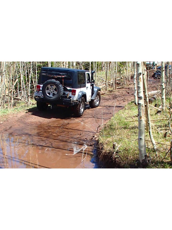 Jeep driving through a creek crossing and aspen trees