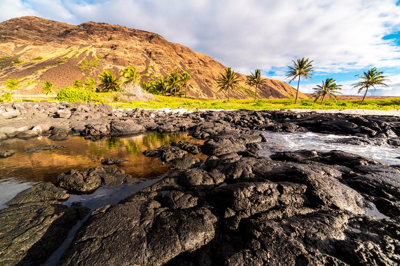 Halapē Rocky coastline with palm trees and a cliff beyon