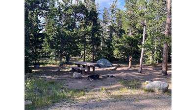 Campsite with a tent set up in Longs Peak Campground