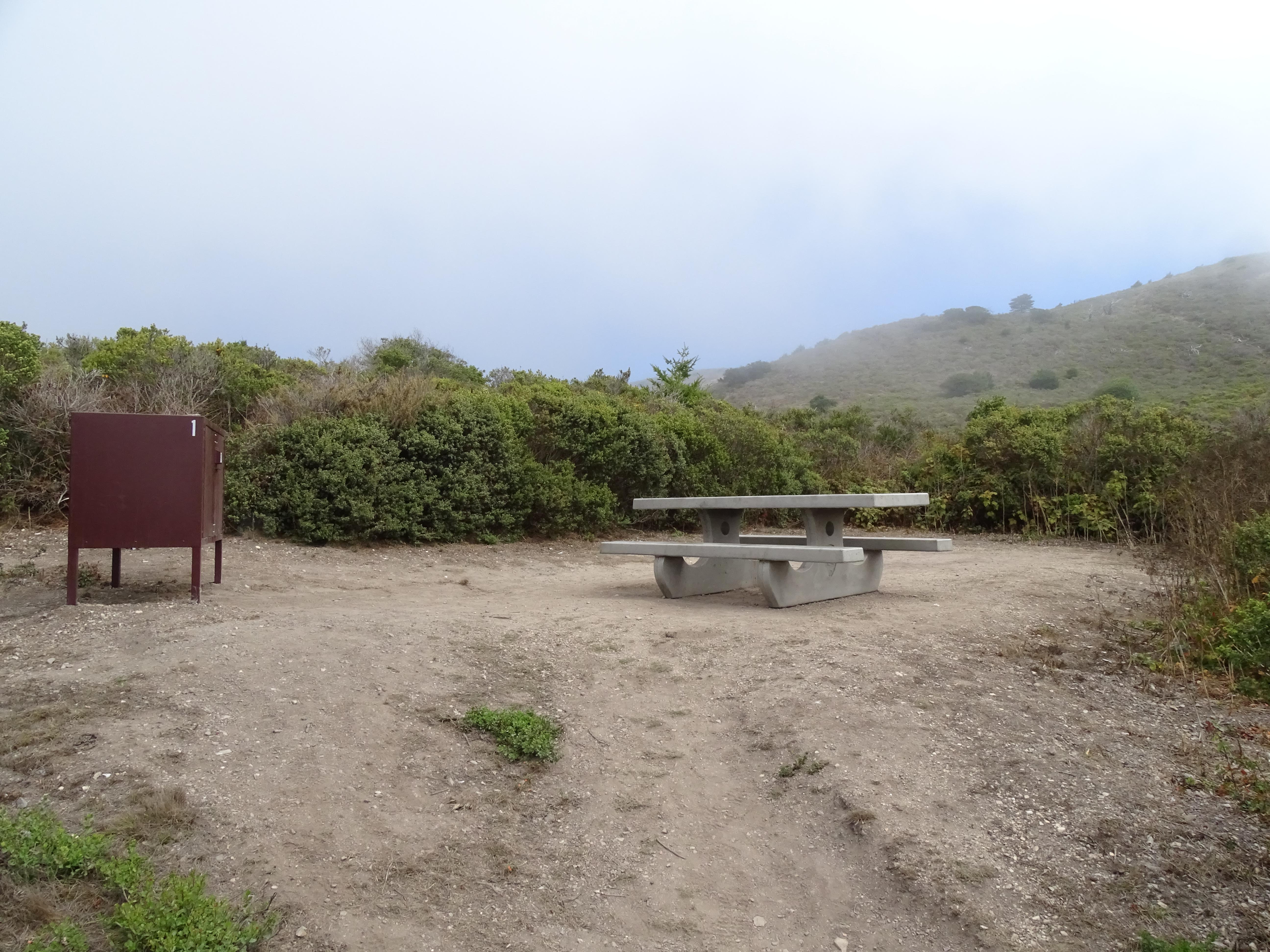 A campsite containing a picnic table and a food storage locker surrounded by shrubs.